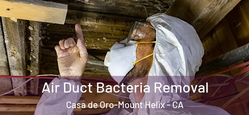  Air Duct Bacteria Removal Casa de Oro-Mount Helix - CA