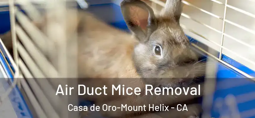  Air Duct Mice Removal Casa de Oro-Mount Helix - CA