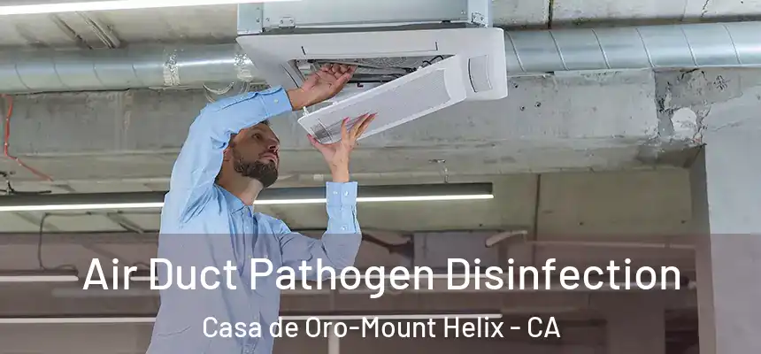  Air Duct Pathogen Disinfection Casa de Oro-Mount Helix - CA