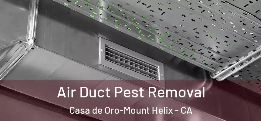 Air Duct Pest Removal Casa de Oro-Mount Helix - CA