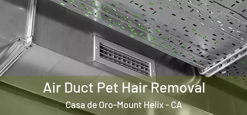 Air Duct Pet Hair Removal Casa de Oro-Mount Helix - CA