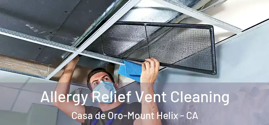  Allergy Relief Vent Cleaning Casa de Oro-Mount Helix - CA