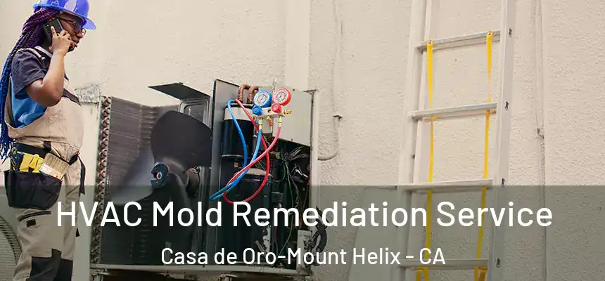 HVAC Mold Remediation Service Casa de Oro-Mount Helix - CA