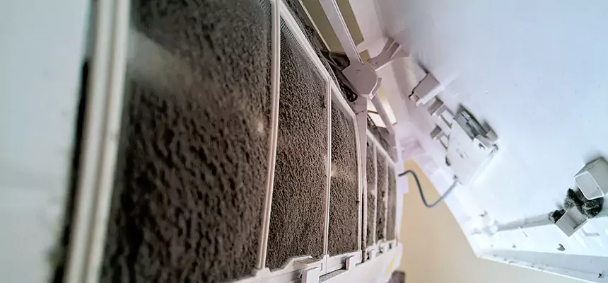 Preventive Air Duct Bacteria Removal in Casa de Oro-Mount Helix