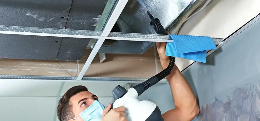 Our Air Duct Rodent Removal Services in Casa de Oro-Mount Helix, CA