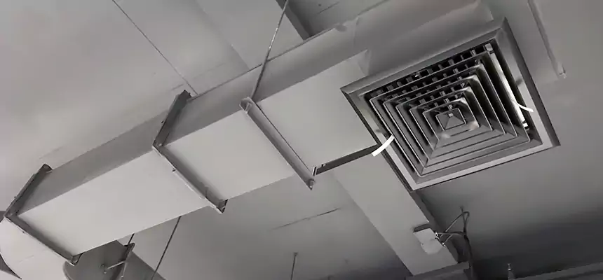 Restorative Allergy Relief Vent Cleaning – Coil, Blower & Housing Detail in Casa de Oro-Mount Helix