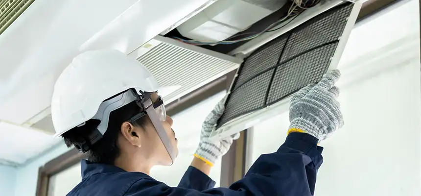 Our Lint Trap Cleaning Service Services in Casa de Oro-Mount Helix, CA