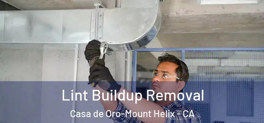  Lint Buildup Removal Casa de Oro-Mount Helix - CA
