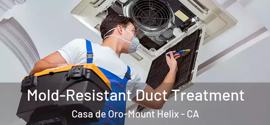  Mold-Resistant Duct Treatment Casa de Oro-Mount Helix - CA