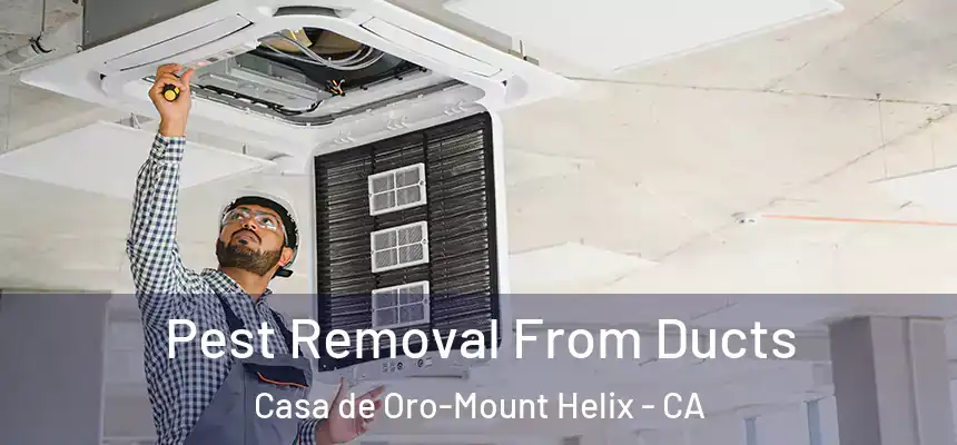  Pest Removal From Ducts Casa de Oro-Mount Helix - CA