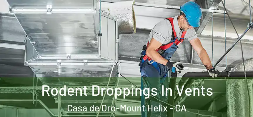 Rodent Droppings In Vents Casa de Oro-Mount Helix - CA