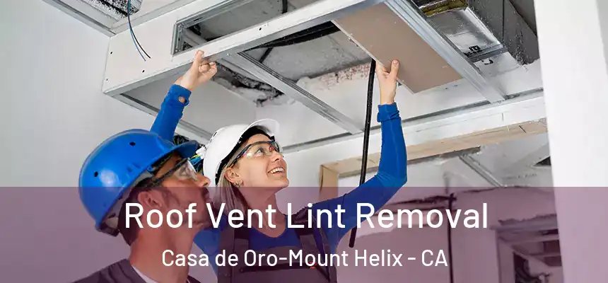  Roof Vent Lint Removal Casa de Oro-Mount Helix - CA