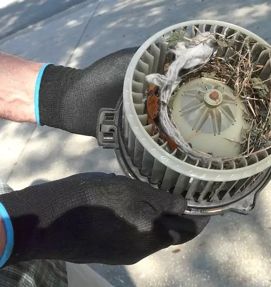 About Air Duct Rat Removal in Casa de Oro-Mount Helix, CA