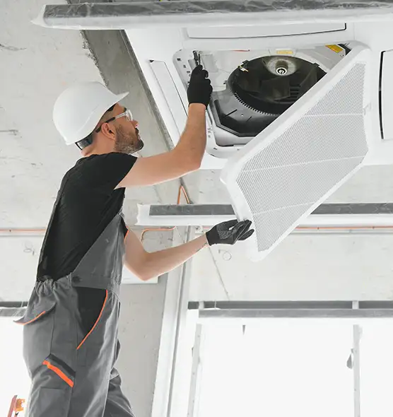 About Air Duct Rodent Removal in Casa de Oro-Mount Helix, CA