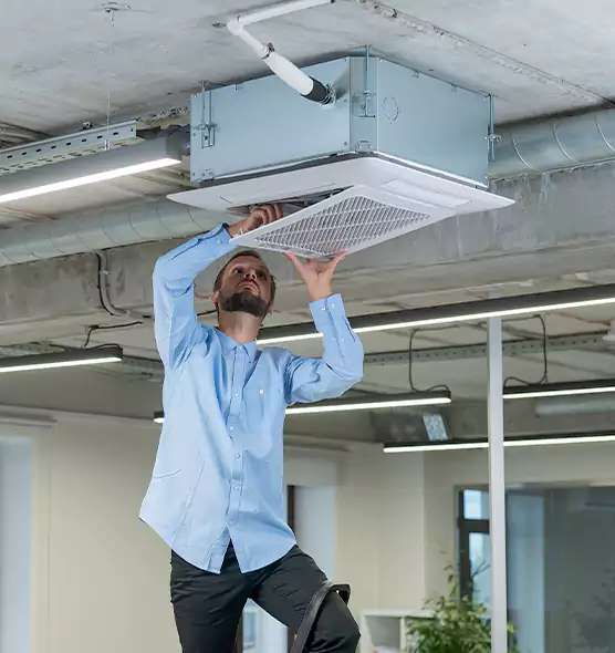Advanced Rodent Droppings In Vents in Casa de Oro-Mount Helix, CA
