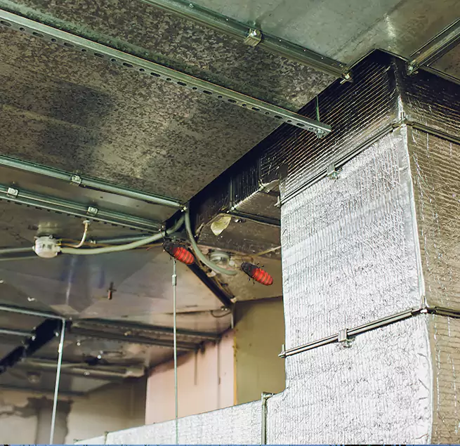 Why Homeowners & Businesses Trust Us in Casa de Oro-Mount Helix, CA?