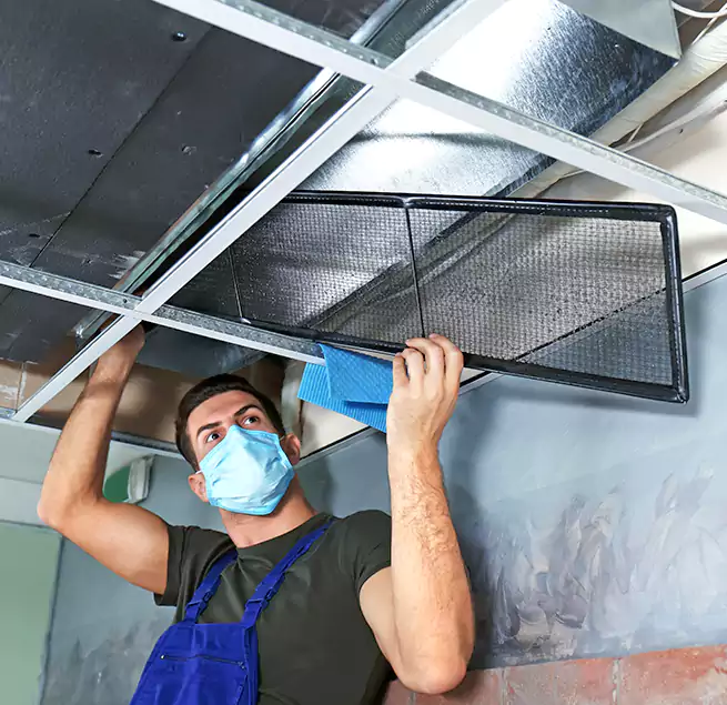 Why Homeowners Businesses Trust Us in Casa de Oro-Mount Helix, CA