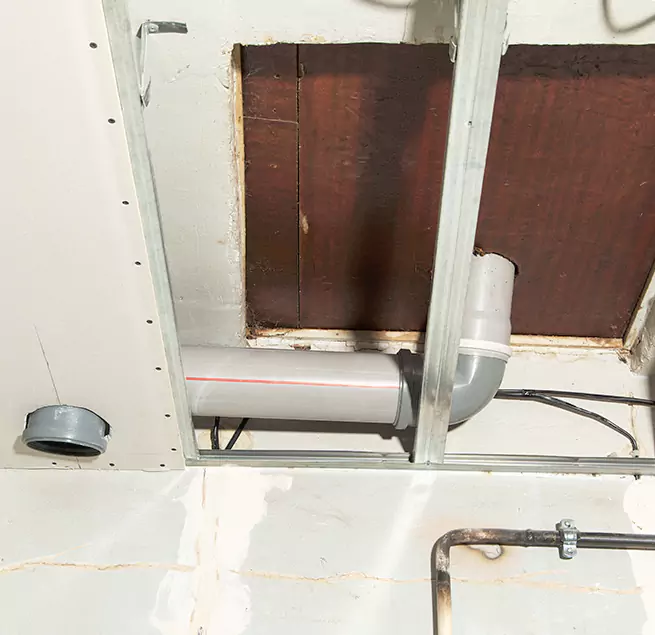 Why Homeowners & Businesses Trust Us in Casa de Oro-Mount Helix, CA?