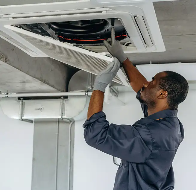 Why Homeowners & Businesses Trust Us in Casa de Oro-Mount Helix, CA?