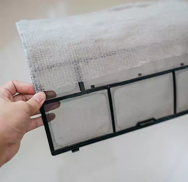 Why Homeowners & Businesses Trust Us in Casa de Oro-Mount Helix, CA?