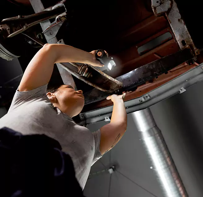 Why Homeowners & Businesses Trust Us Casa de Oro-Mount Helix, CA