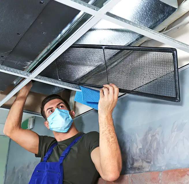 Why Homeowners & Businesses Trust Us in Casa de Oro-Mount Helix, CA?